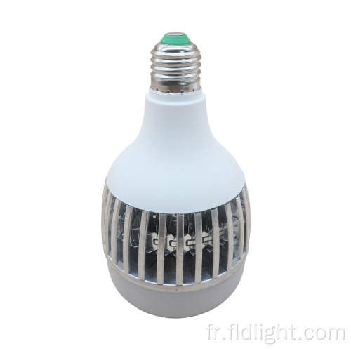 Ampoule LED haute puissance longue durée de vie